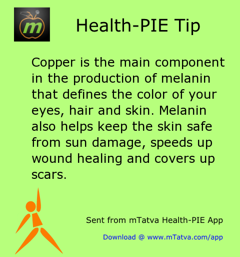 copper is the main component in the production of melanin that defines the color of 248.png