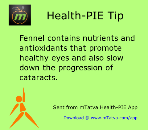 fennel contains nutrients and antioxidants that promote healthy eyes and also slow down the progression 238.png
