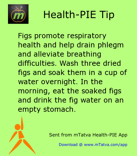 figs promote respiratory health and help drain phlegm and alleviate breathing difficulties wash three dried 176.png
