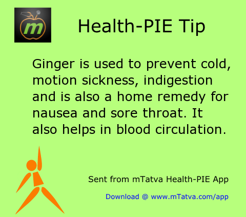 ginger prevents cold motion sickness indigestion bloor circulation 33.png