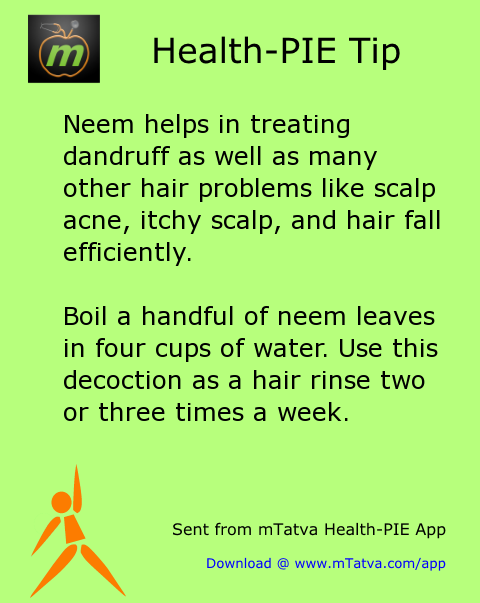 neem helps in treating dandruff as well as many other hair problems like scalp acne 188.png
