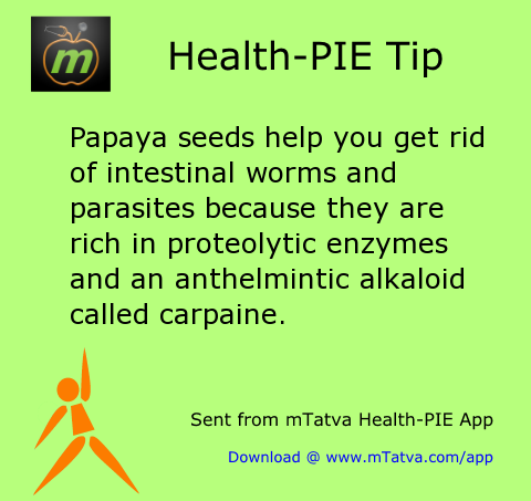 papaya seeds help you get rid of intestinal worms and parasites because they are rich 224.png