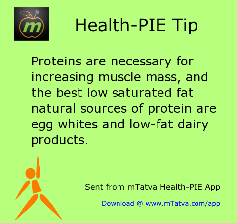 proteins are necessary for increasing muscle mass and the best low saturated fat natural sources 107.png